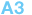 A3